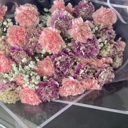 7C77184B-7DE9-480B-9E56-6A78DD9EBDAF