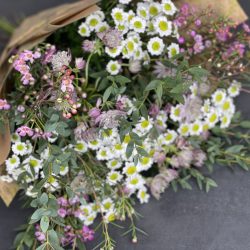 E5403EA2-CE2A-4BEC-917A-2F0E914B3605